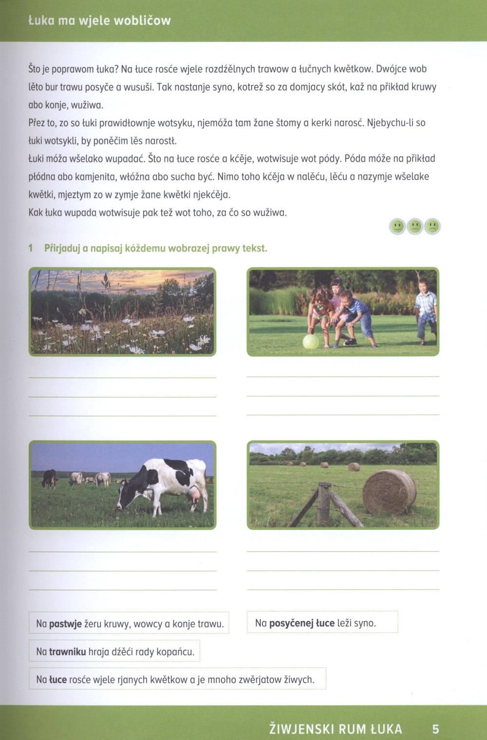 Žiwjenski rum łuka