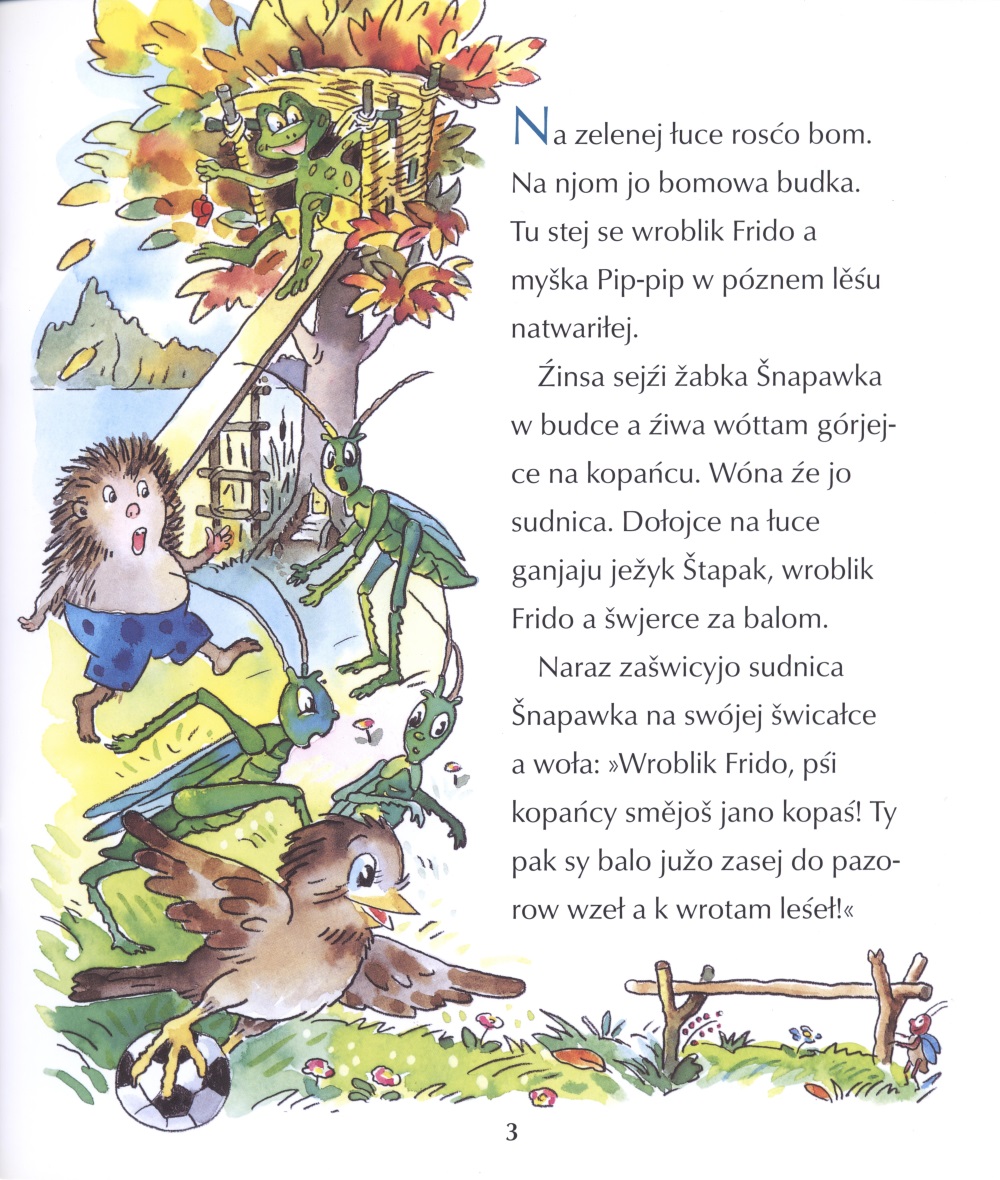 Kak jo ježyk Štapak skóńcnje spaś nawuknuł