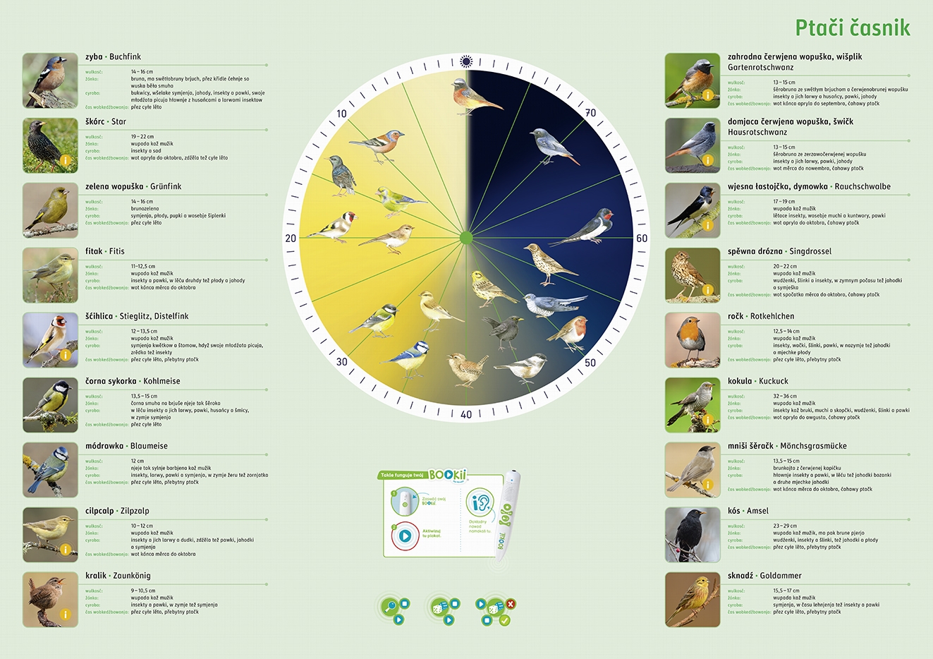 Ptači časnik • plakat