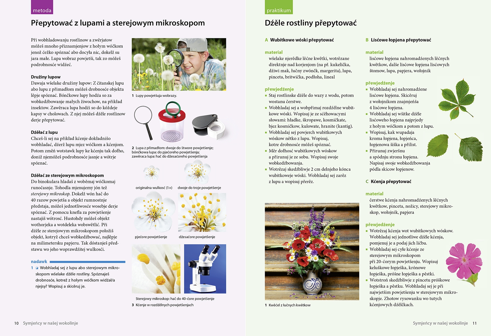 Wučbnica biologije 6