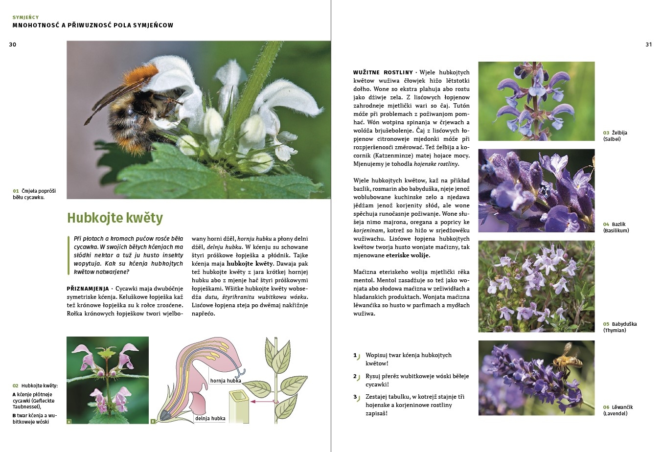 Biosfera 6 • wučbnica