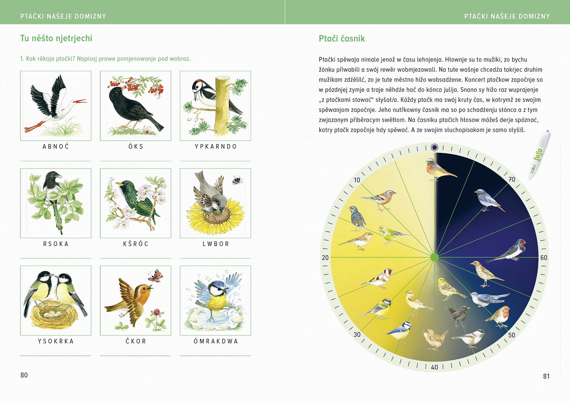 Ptački našeje domizny 