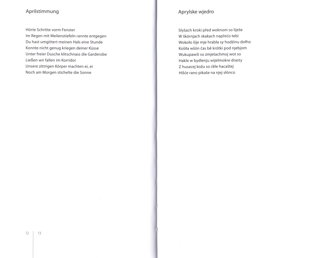 Der Tiger im Pyjama / Tiger w nócnej košli