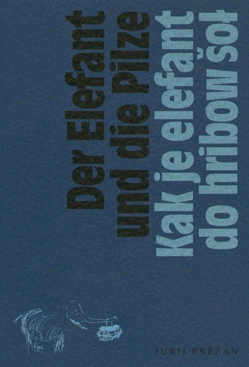 Der Elefant und die Pilze / Kak je elefant do hribow šoł