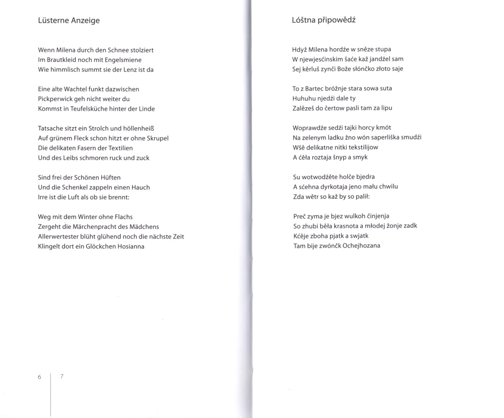 Der Tiger im Pyjama / Tiger w nócnej košli