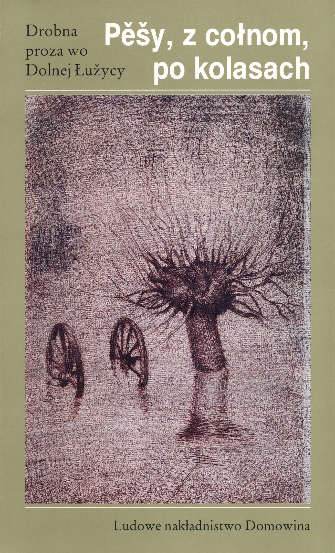 Pěšy, z cołnom, po kolasach