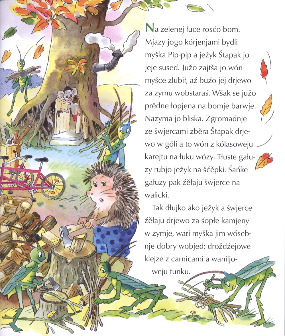 Kak jo žabka Šnapawka z wětšykom leśeła