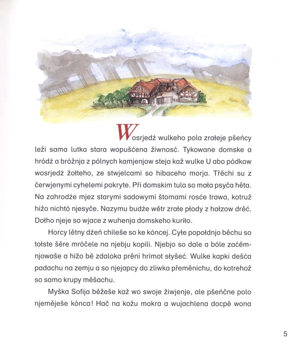 Myška w mróčelach