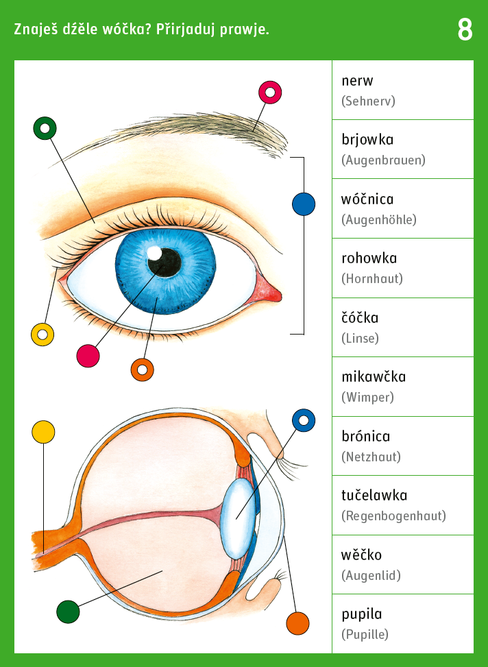 Wulět do swěta wědy 1