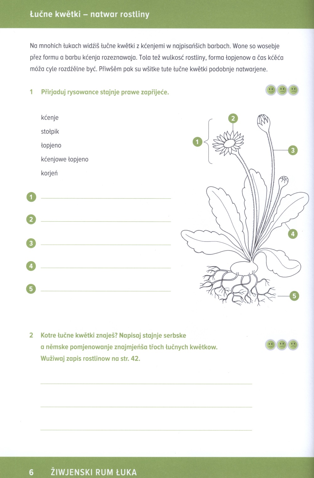 Žiwjenski rum łuka