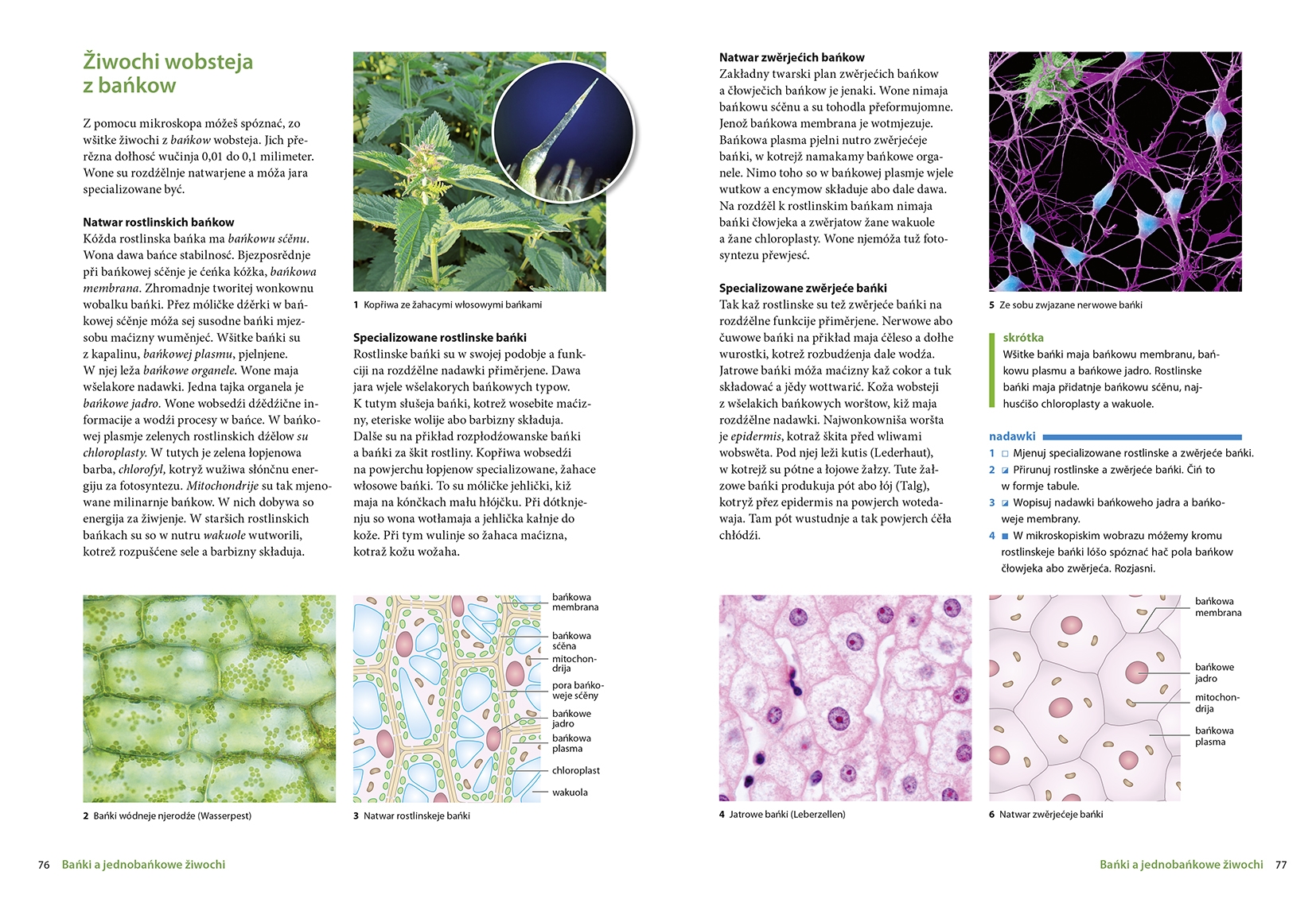 Wučbnica biologije 6
