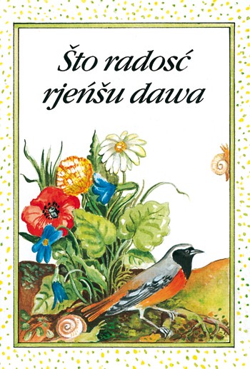 Što radosć rjeńšu dawa