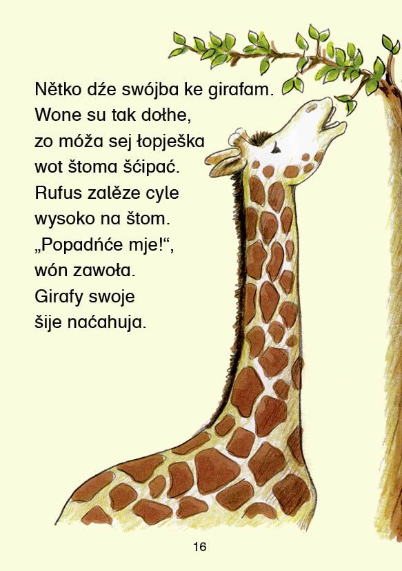 Rapak Rufus w zwěrjencu / 3. čitanski schodźenk