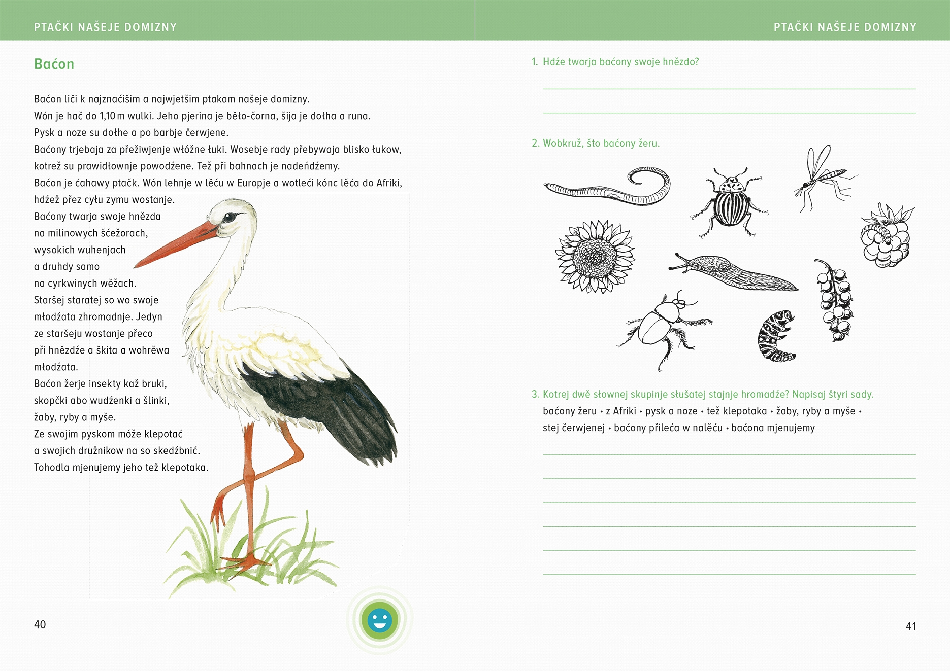 Ptački našeje domizny 