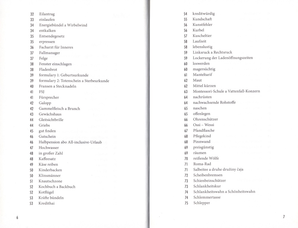 Z labyrinta serbšćiny