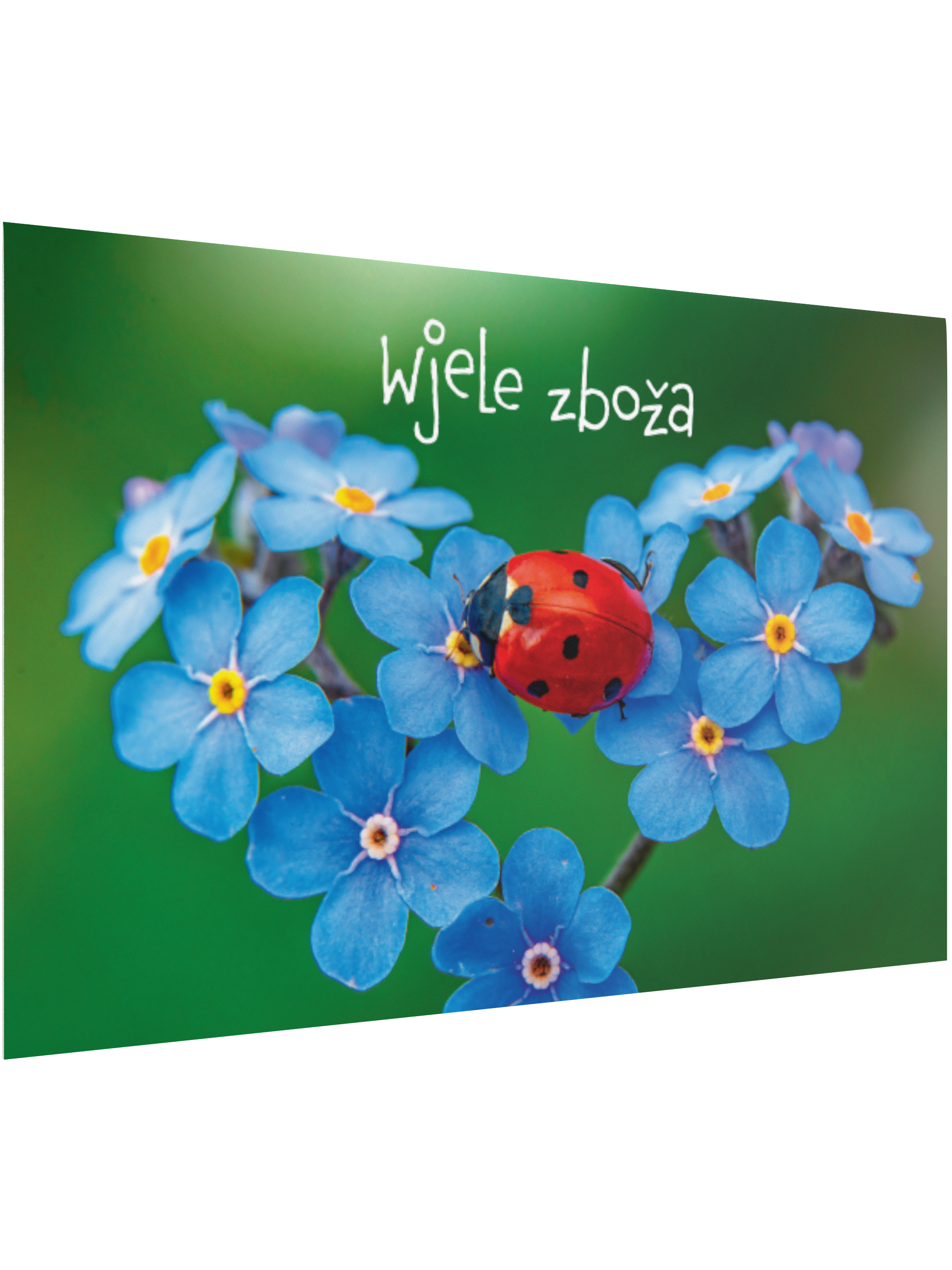 Zbožopřejna karta • Wjele zboža