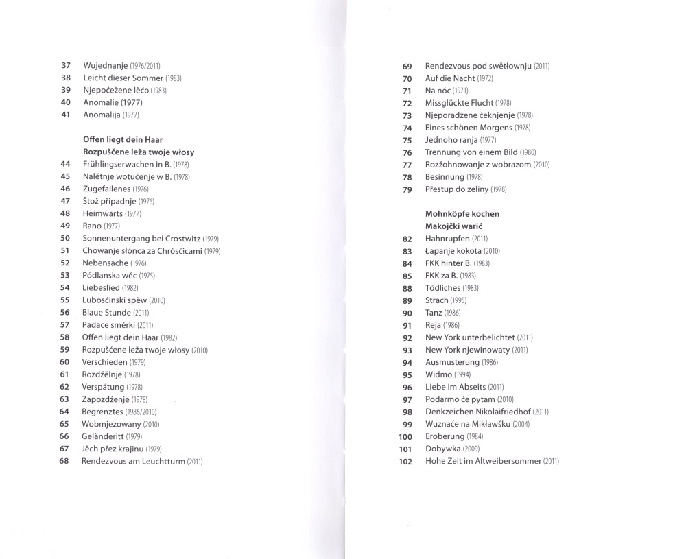 Der Tiger im Pyjama / Tiger w nócnej košli