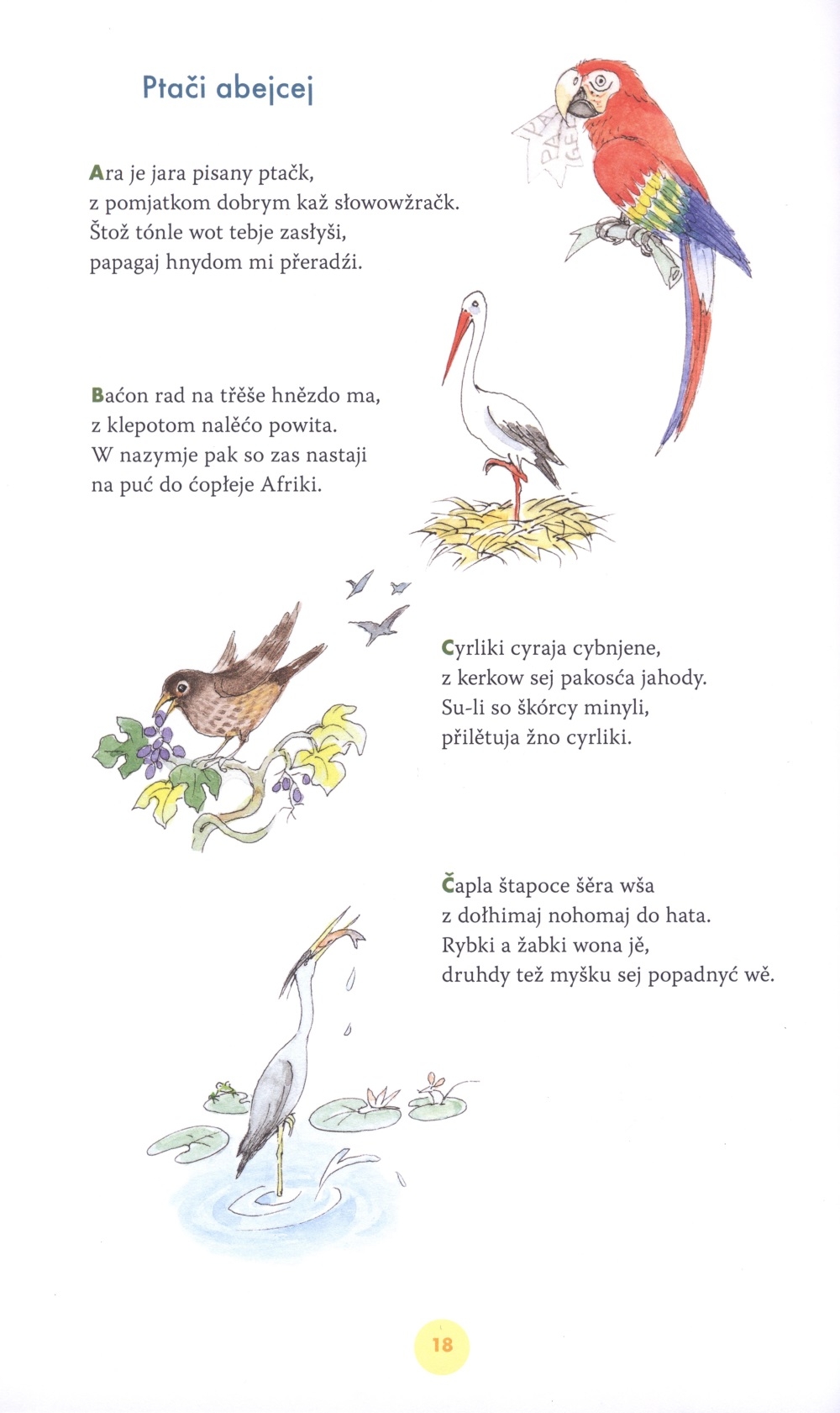 Kupjel połna rybičkow