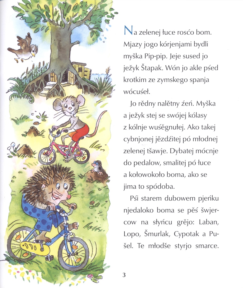 Kak su šwjerce kólasowaś nawuknuli