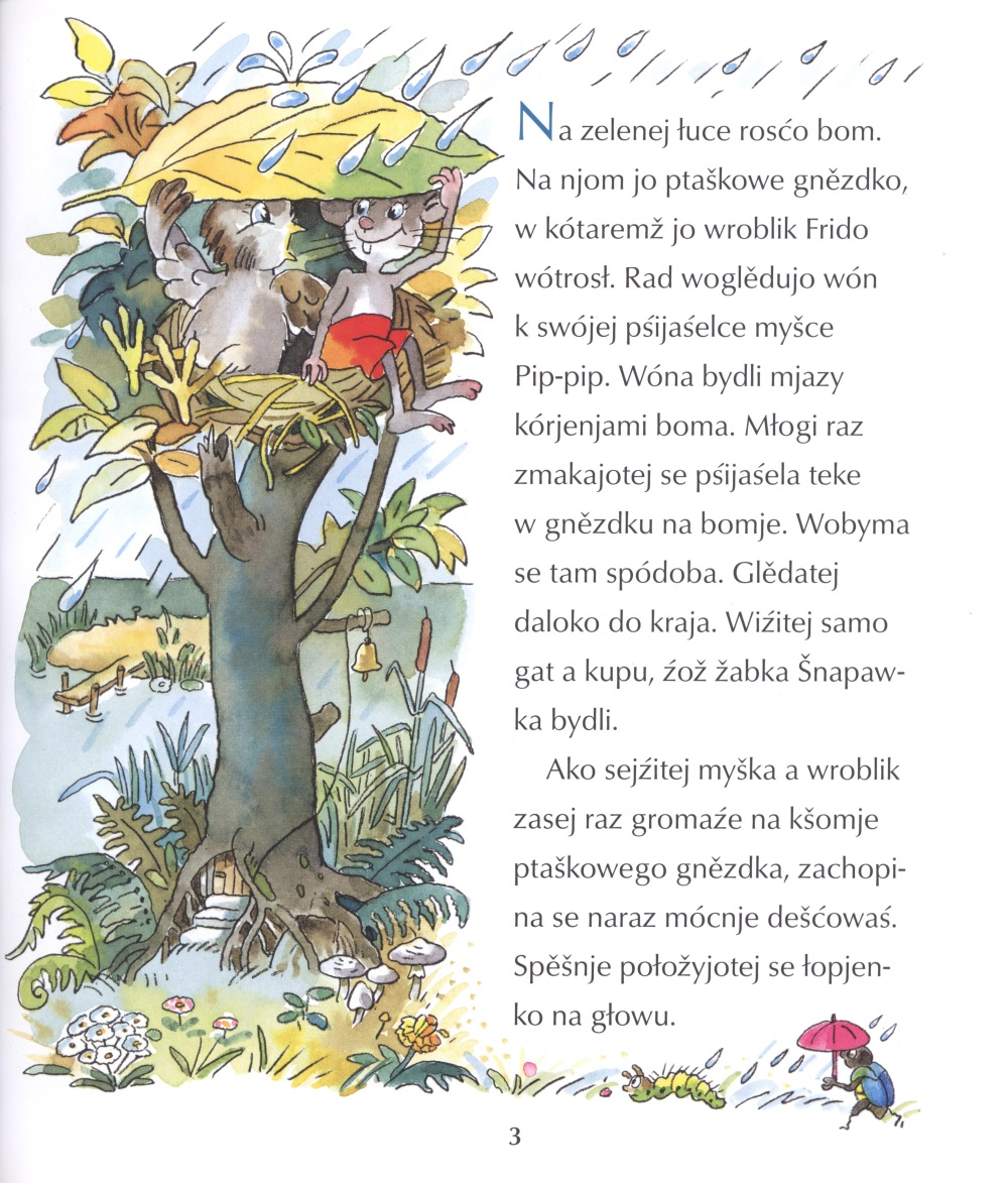 Kak jo žabka Šnapawka spěšnje skokaś nawuknuła