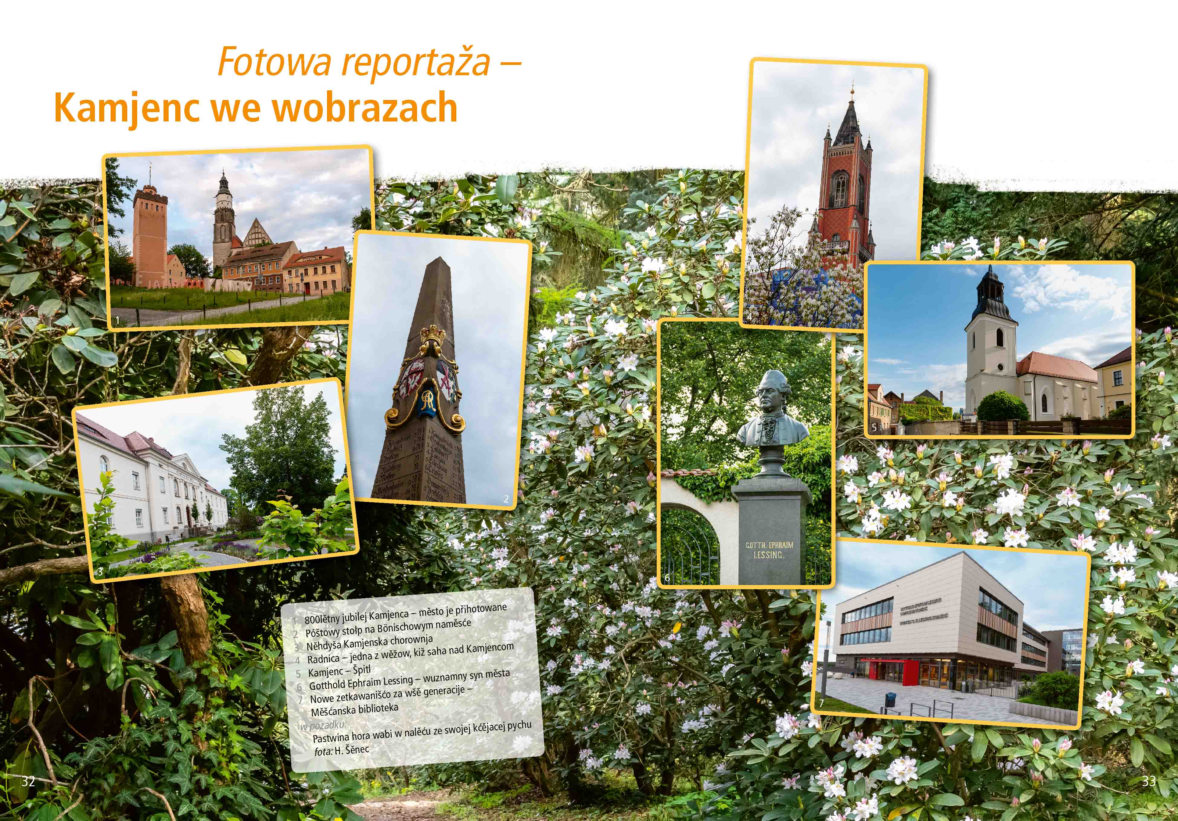 Serbska protyka 2025