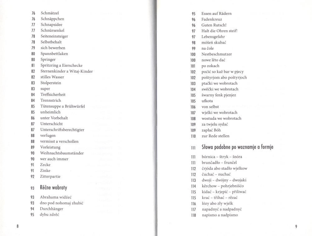 Z labyrinta serbšćiny